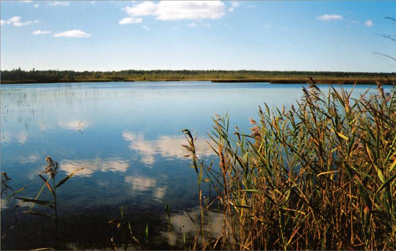 File:Ermistu järv.jpg